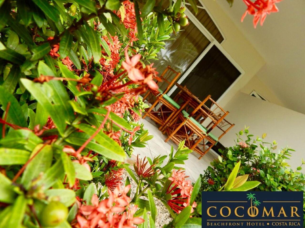 Cocomar Beachfront Hotel Парита Екстериор снимка